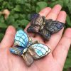 Natural Blue Carved Labradorite Butterfly Talisman Spirit Guide